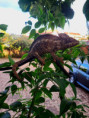 /album/fotogaleria-madagaskar-hotely/madagaskar-hotely-49-jpg/